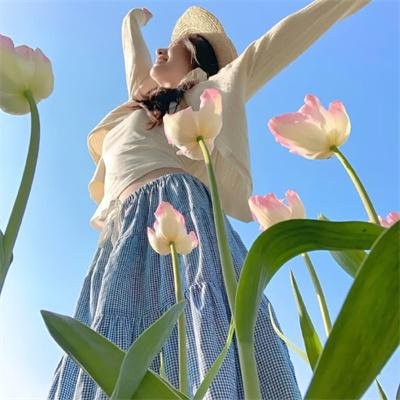 星际宝贝2:史迪奇有问题