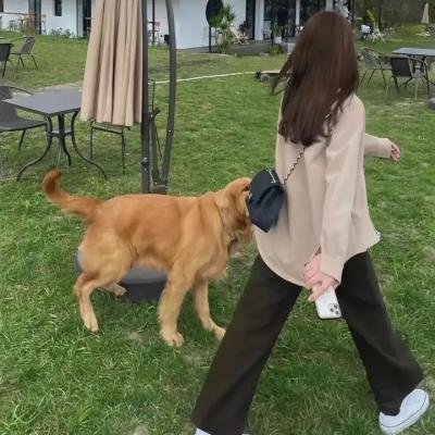 鬼谜